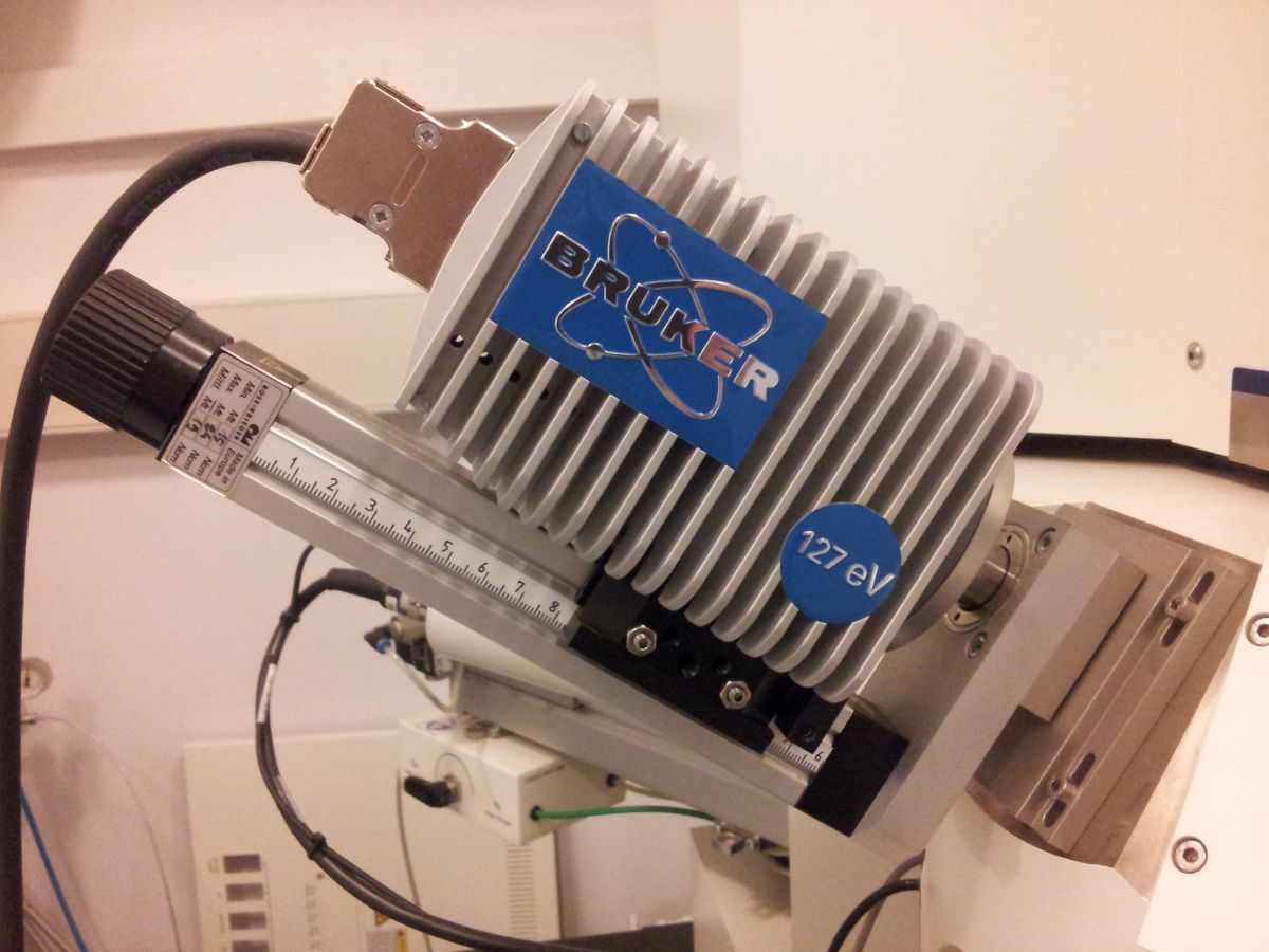 Skaningowy mikroskop elektronowy Zeiss Ultra Plus