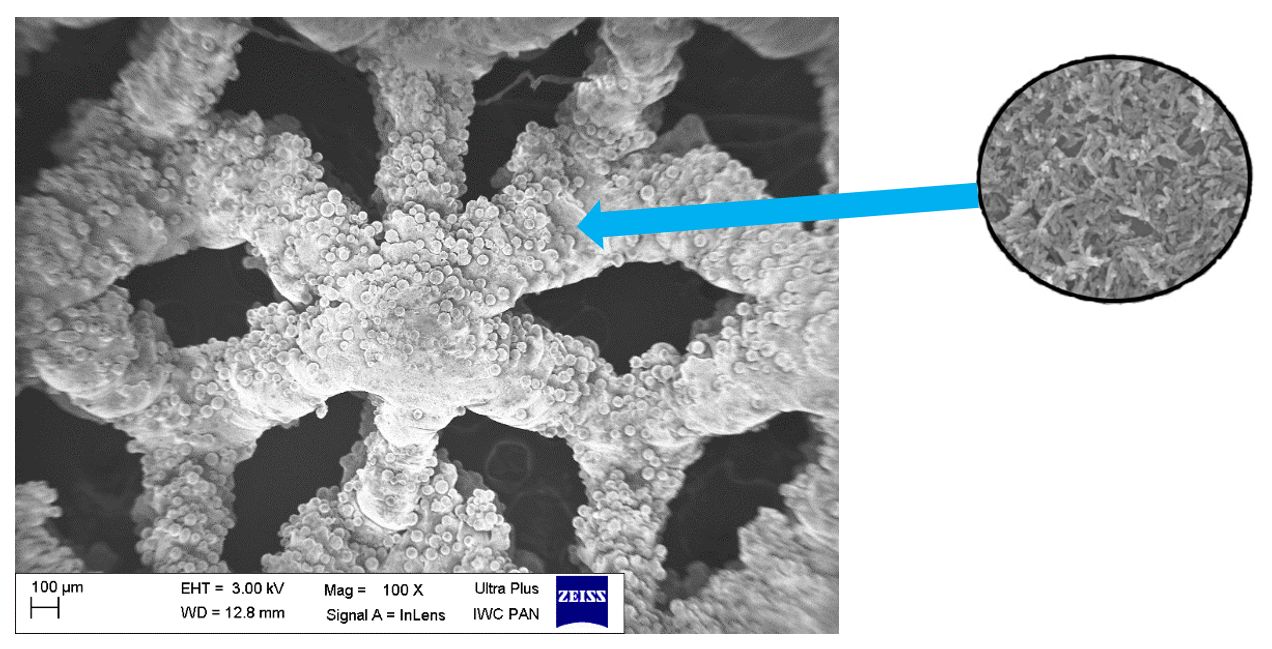 Obrazy SEM próbek tytanowych pokrytych hydroksyapatytem GoHaP