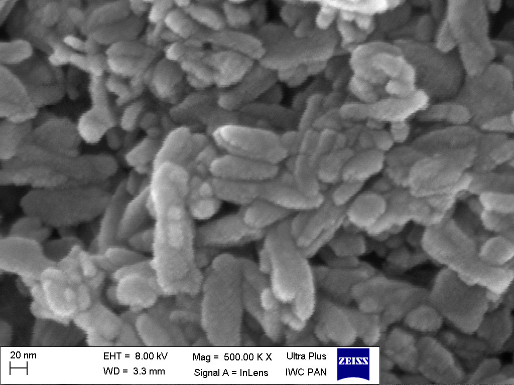 Nanocząsteczki hydroksyapatytu – syntetycznego odpowiednika minerału odpowiedzialnego za tworzenie się kości